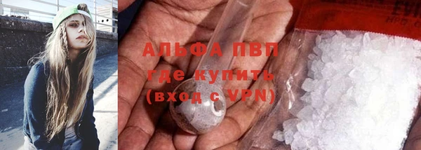 ГАЛЛЮЦИНОГЕННЫЕ ГРИБЫ Няндома