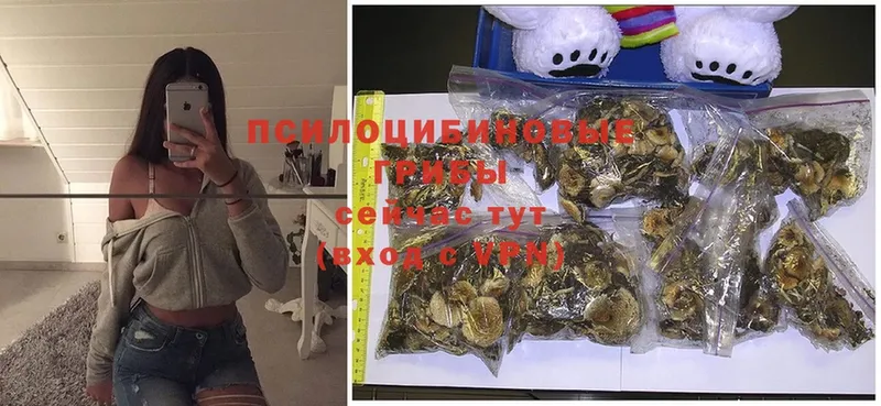 Галлюциногенные грибы Psilocybe  Уфа 