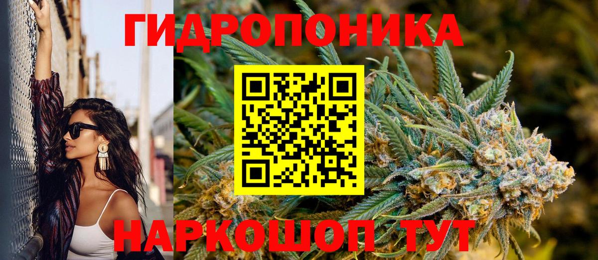 Конопля сатива Уфа